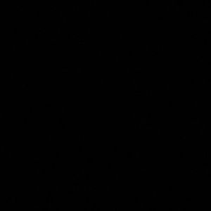 Meet your Posher, Nijah